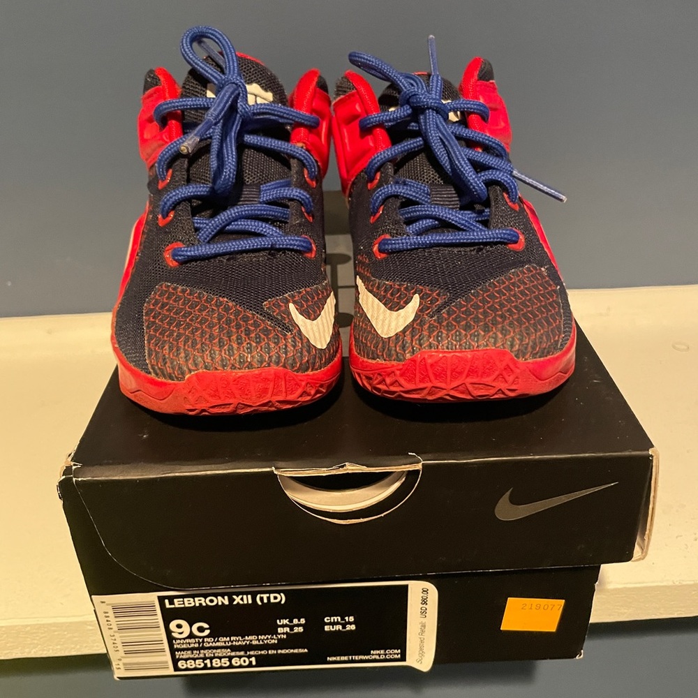 Toddler Lebron James The Twelve sneakers